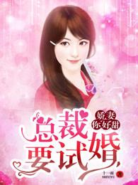 娇妻你好甜:总裁要试婚 娇妻你好甜:总裁要试婚