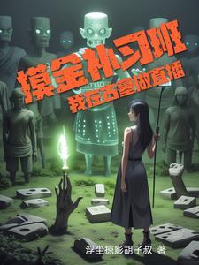 摸金补习班,我在古墓做直播 摸金补习班,我在古墓做直播